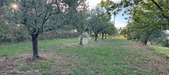  قطعة أرض في Pescia, Italy رقم 326790 2