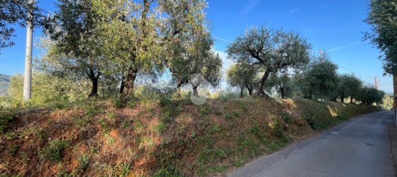  قطعة أرض في Pescia, Italy رقم 326790 10