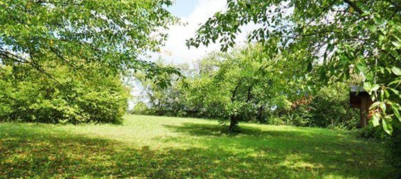 Terreno en Tulbing, Austria No. 88131 8