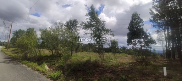 Terreno en Agueda, Portugal 13010 m² No. 68055 5