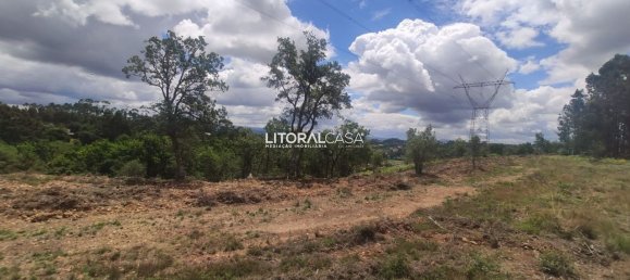 Terreno en Agueda, Portugal 13010 m² No. 68055 9