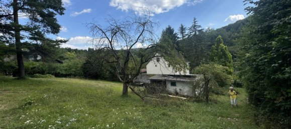 Terreno en St. Andra-Wordern, Austria No. 134092 3