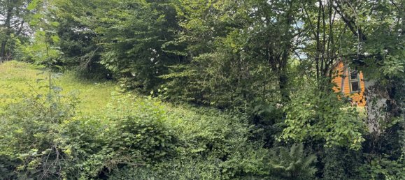 Terreno en St. Andra-Wordern, Austria No. 134092 5