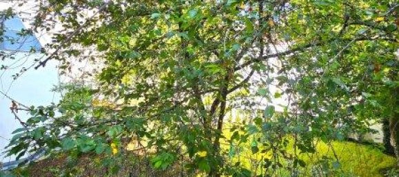 Apartamento de 3 habitaciónes en Wahring, Austria No. 262005 24