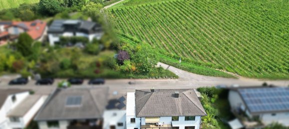 7-salle Maison de ville à Rhein-Neckar-Kreis, Germany No. 371649 5