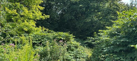 Land in Hagen, Germany No. 218919 11