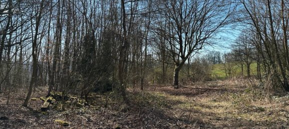 Land in Hagen, Germany No. 218919 3