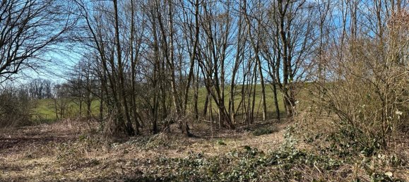 Land in Hagen, Germany No. 218919 2