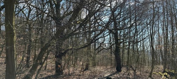 Land in Hagen, Germany No. 218919 4