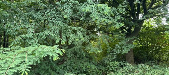 Land in Hagen, Germany No. 218919 9