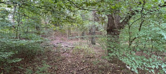 Land in Hagen, Germany No. 218919 10