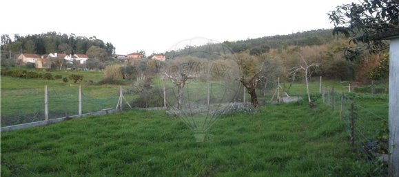 2 Schlafzimmer Haus in Ferreira do Zezere, Portugal, Nr. 185517 10