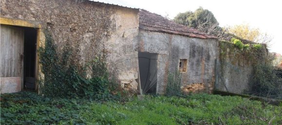 2 Schlafzimmer Haus in Ferreira do Zezere, Portugal, Nr. 185517 3