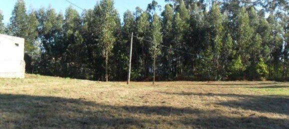 3690m² Land in Viana do Castelo, Portugal No. 65501 4