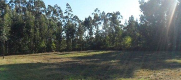 3690m² Land in Viana do Castelo, Portugal No. 65501 3