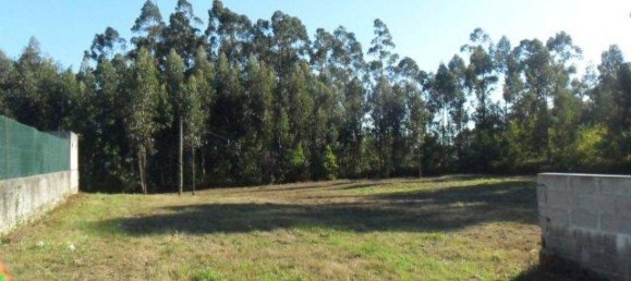 3690m² Land in Viana do Castelo, Portugal No. 65501 2