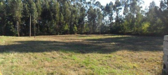3690m² Land in Viana do Castelo, Portugal No. 65501 5