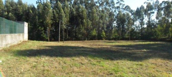 3690m² Land in Viana do Castelo, Portugal No. 65501 6