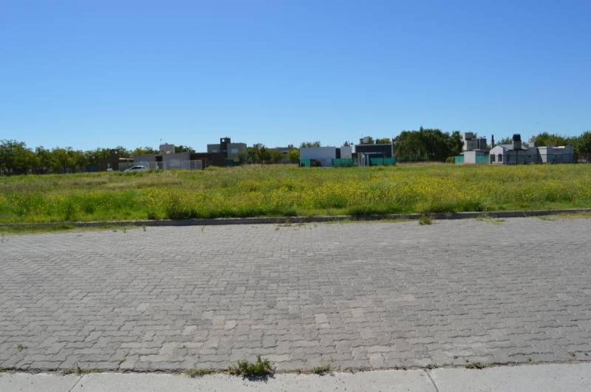  قطعة أرض في Mar del Plata, Argentina رقم 119871