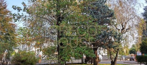 Квартира с 3 комнатами в Горла Маджоре, Италия № 181214 15