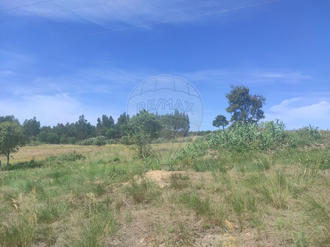 Terrain à Alcoentre, Portugal No. 67331