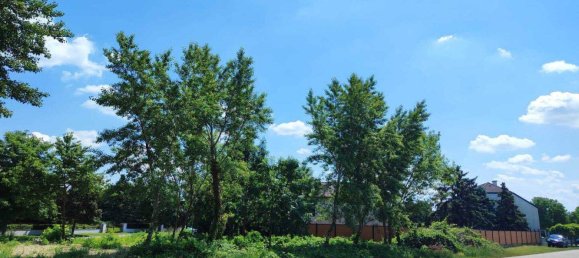  Land in Frauenkirchen, Austria No. 151166 6