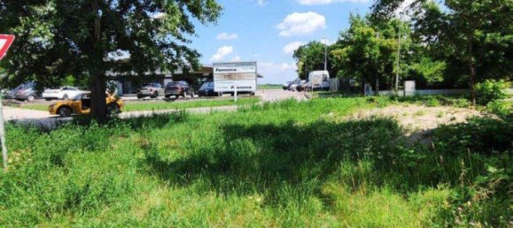  Land in Frauenkirchen, Austria No. 151166 8