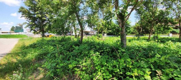  Land in Frauenkirchen, Austria No. 151166 10