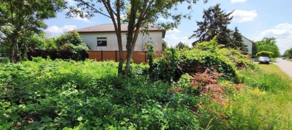  Land in Frauenkirchen, Austria No. 151166 9