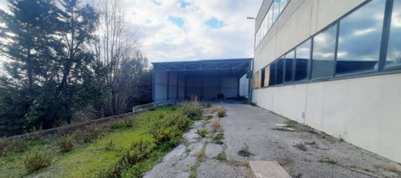 Lagerhaus in Santa Maria Nuova, Italy 3209m², Nr. 94763 9