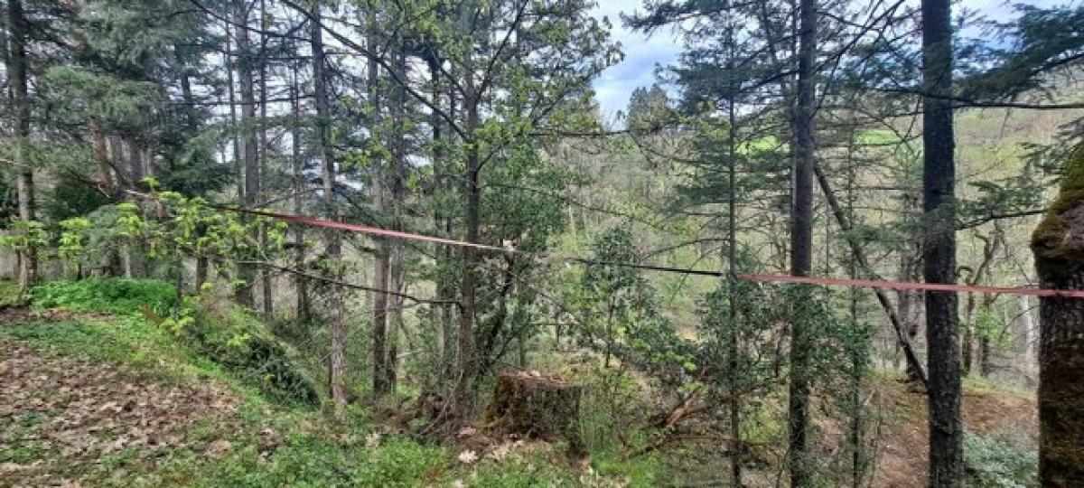 Studio in Jacksonville, USA No. 372515