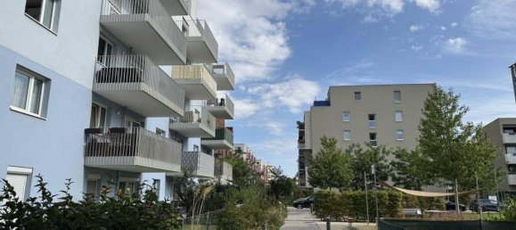 3-Zimmer Wohnung in Wien, Austria, Nr. 252003 23