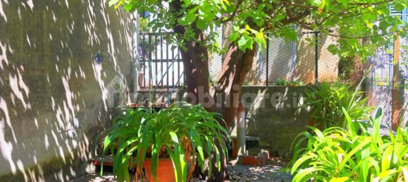 3 غرف نوم تاون هاوس في Lucca, Italy رقم 268253 20