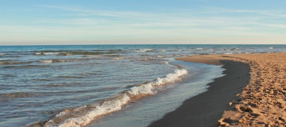 61m² Commercial property in Guardamar del Segura, Spain No. 56321 9