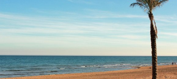 61m² Commercial property in Guardamar del Segura, Spain No. 56321 12