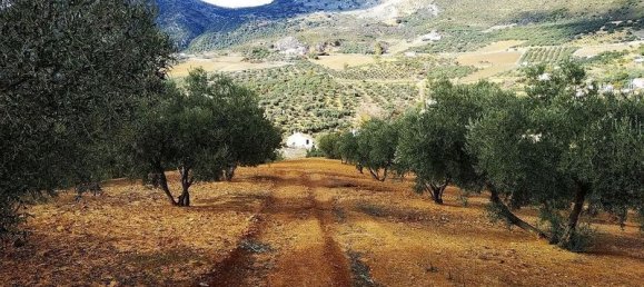 Terreno en Periana, Spain 173000 m² No. 180183 5