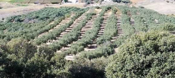 Terreno en Periana, Spain 173000 m² No. 180183 4