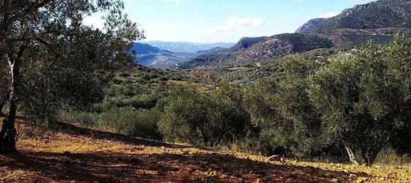 Terreno en Periana, Spain 173000 m² No. 180183 2