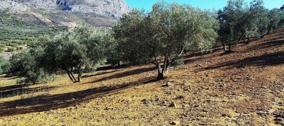 Terreno en Periana, Spain 173000 m² No. 180183 3