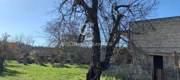 3-salle Maison à Specchia, Italy No. 235276 14