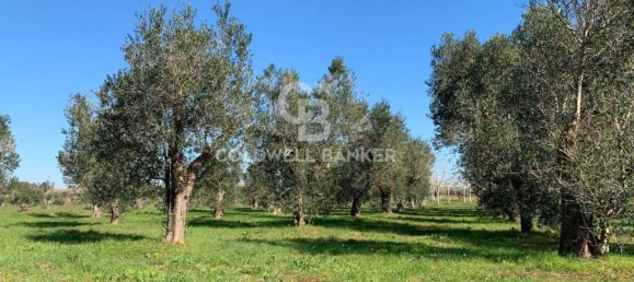 3-salle Maison à Specchia, Italy No. 235276 15