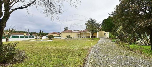 4 Schlafzimmer Villa in Rio Maior, Portugal, Nr. 16661 31