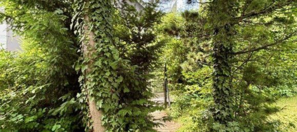 5 rooms House in Hernals, Austria No. 127770 11