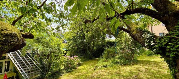 5 rooms House in Hernals, Austria No. 127770 8