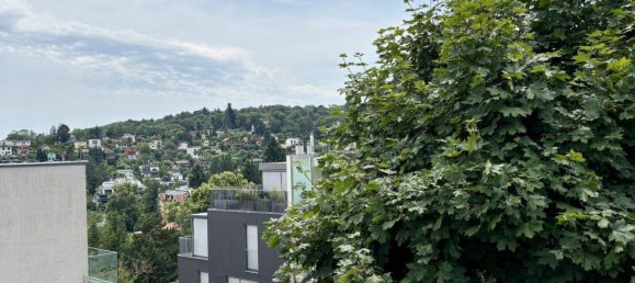 5 rooms House in Hernals, Austria No. 127770 13