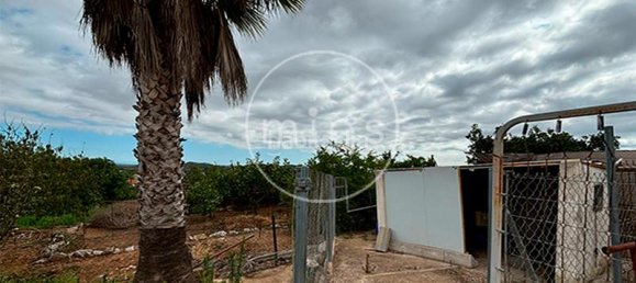 4 bedrooms House in Turis, Spain No. 181912 30