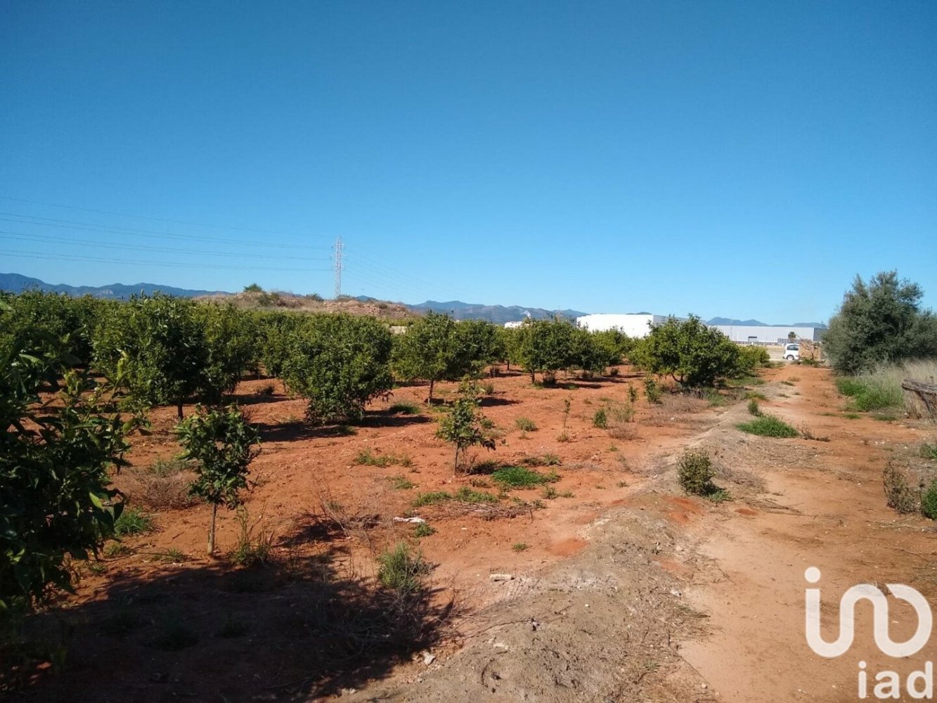  قطعة أرض في Vila-real, Spain 3058متر مربع رقم 293844