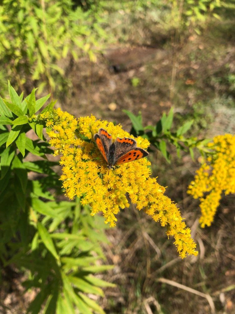 Grundstück in Märkisch-Oderland, Germany, Nr. 346693