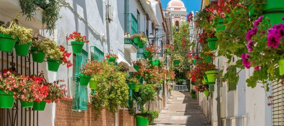 2 bedrooms Commercial property in Estepona, Spain No. 219153 30