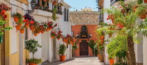 2 bedrooms Commercial property in Estepona, Spain No. 219153 29